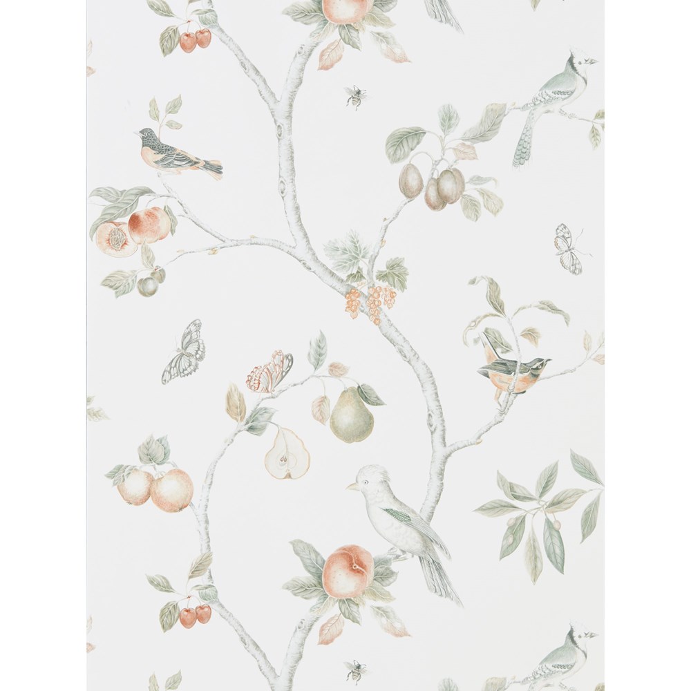 Fruit Aviary Wallpaper 216313 by Sanderson in Ivory Mineral